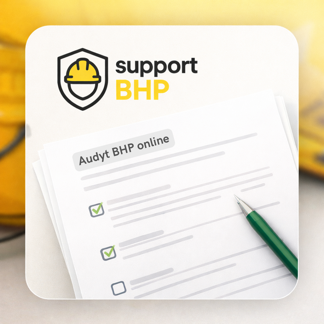 Audyt BHP online