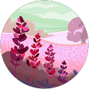 Julia Morys profile picture