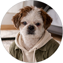 Oleg Rumyantsev profile picture